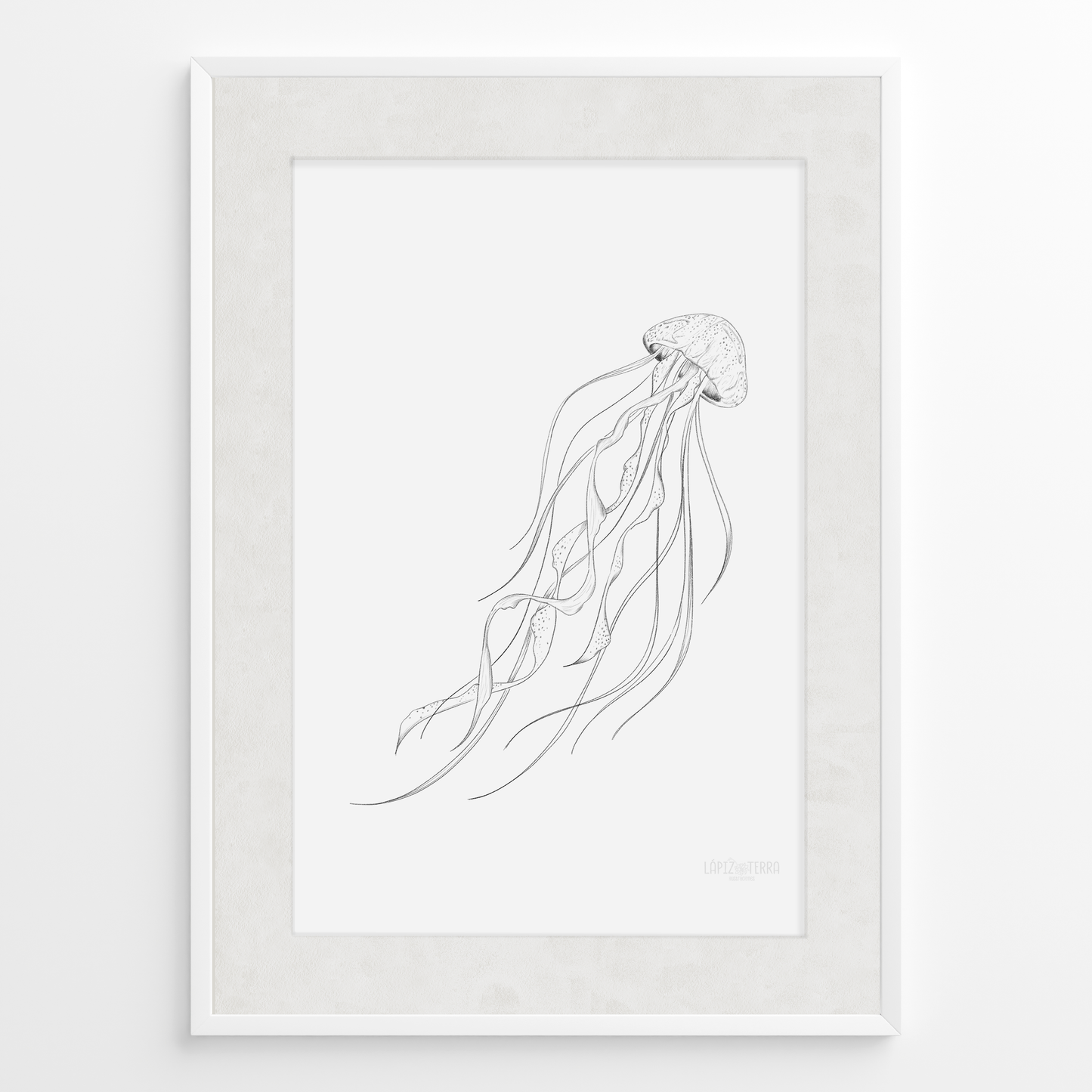 Medusa B&N