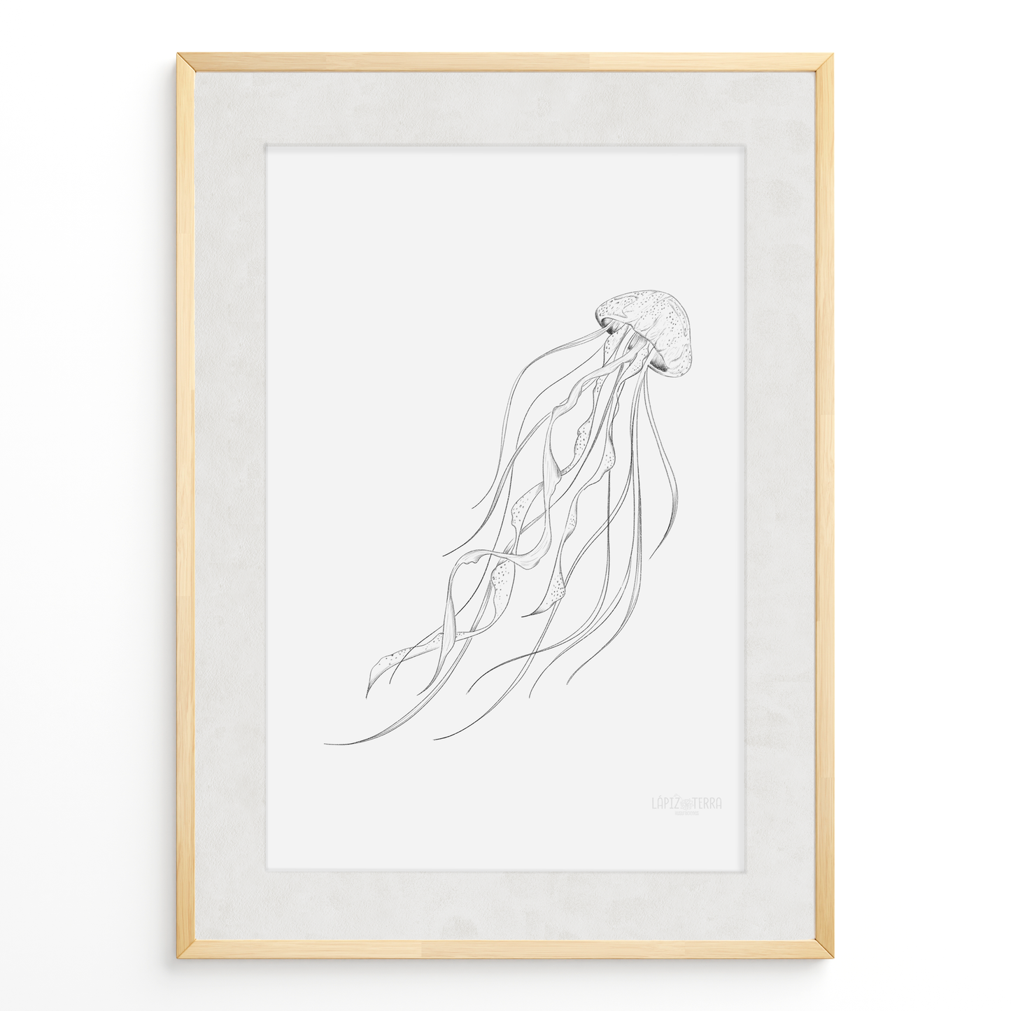 Medusa B&N