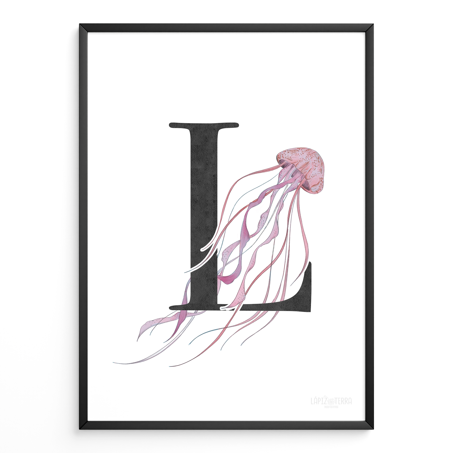 Letra & Medusa
