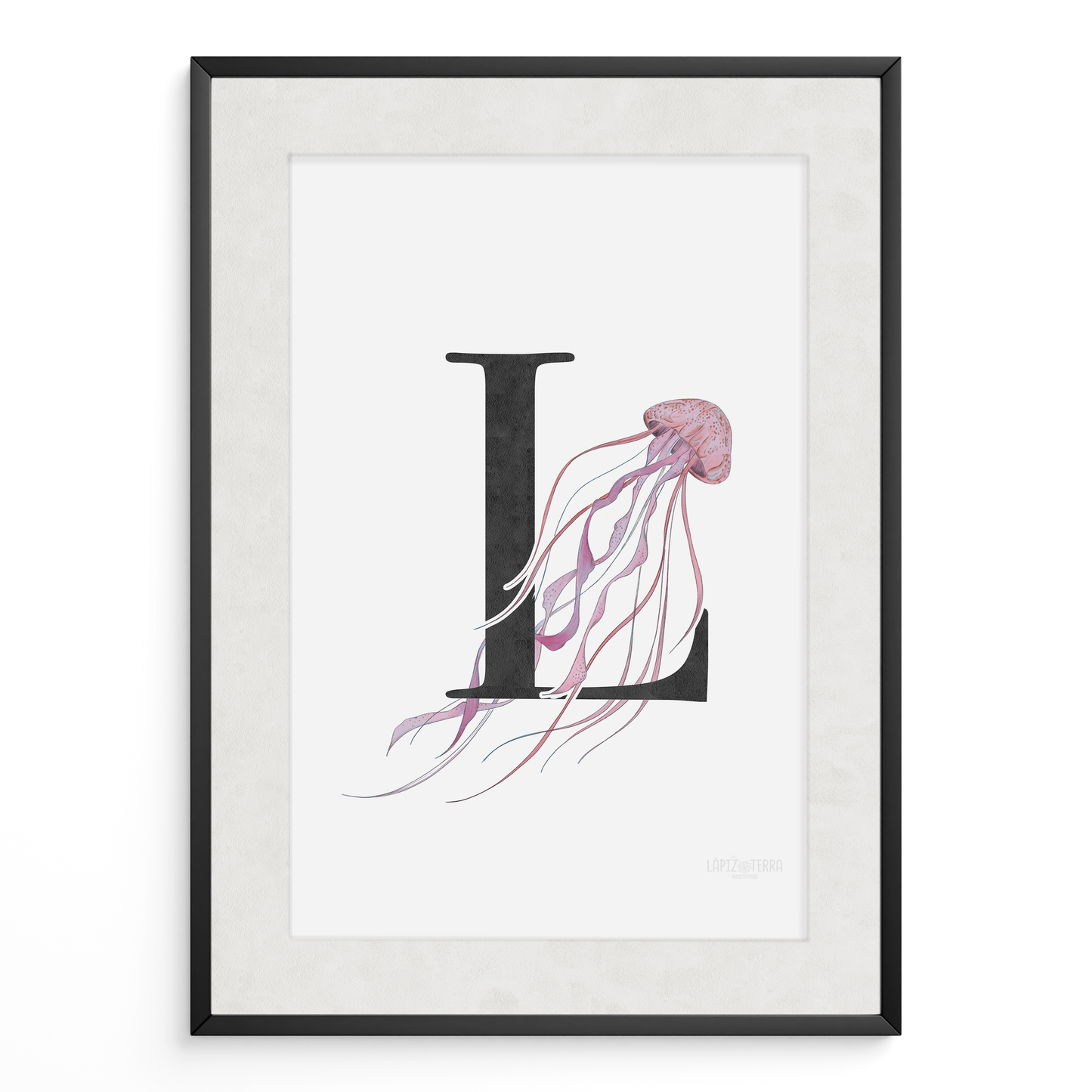 Letra & Medusa
