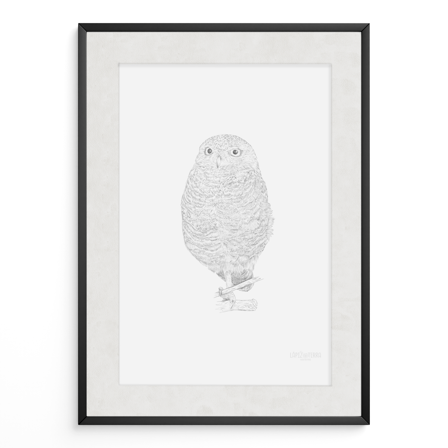 Búho B&N