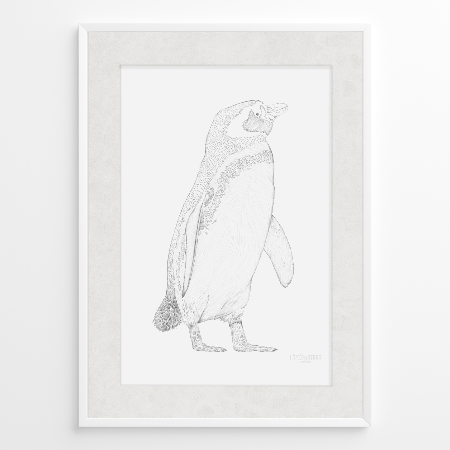 Pingüino de Magallanes B&N