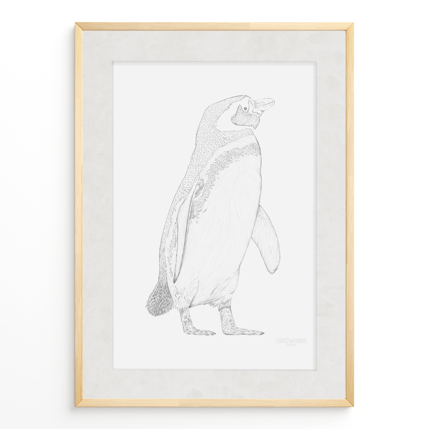Pingüino de Magallanes B&N