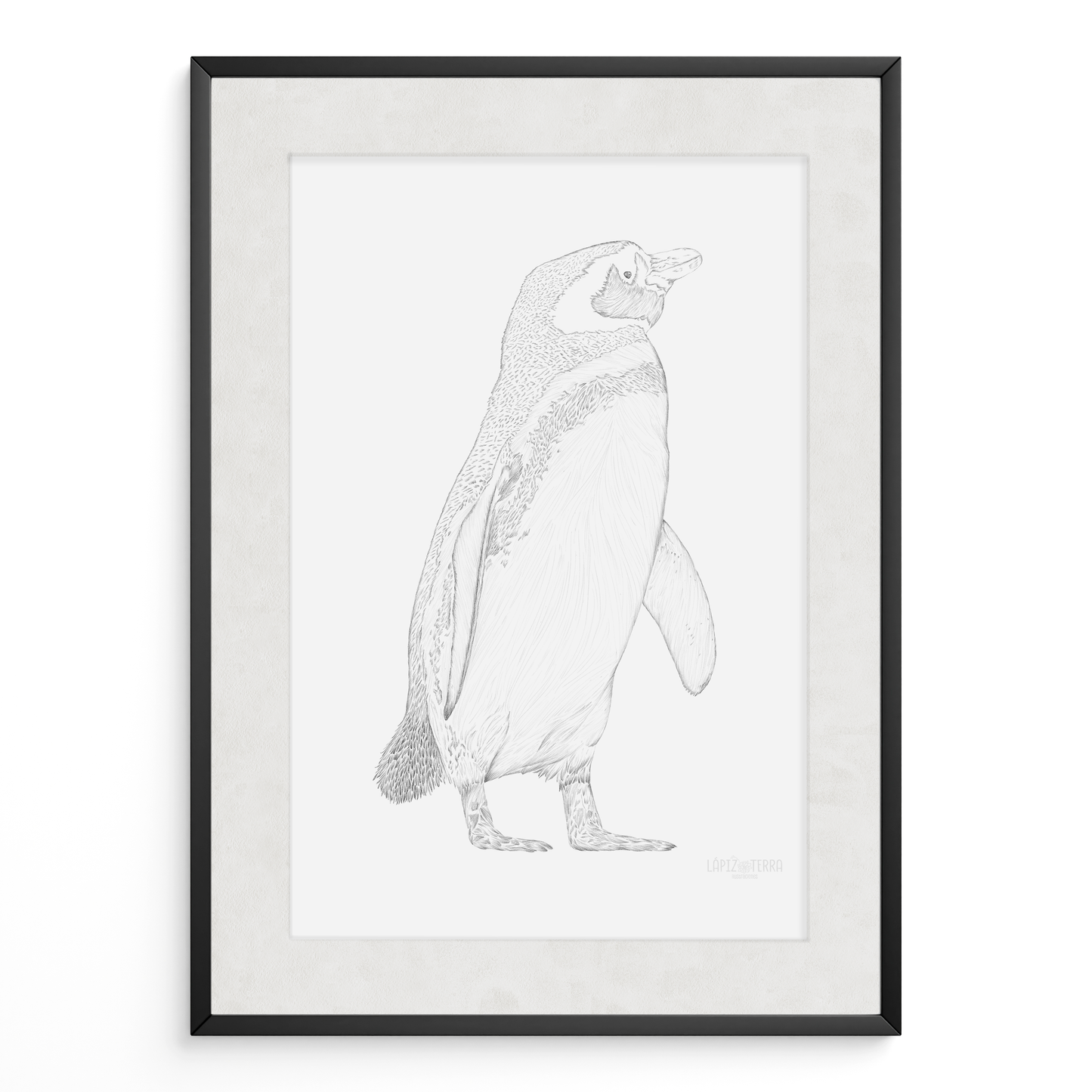 Pingüino de Magallanes B&N