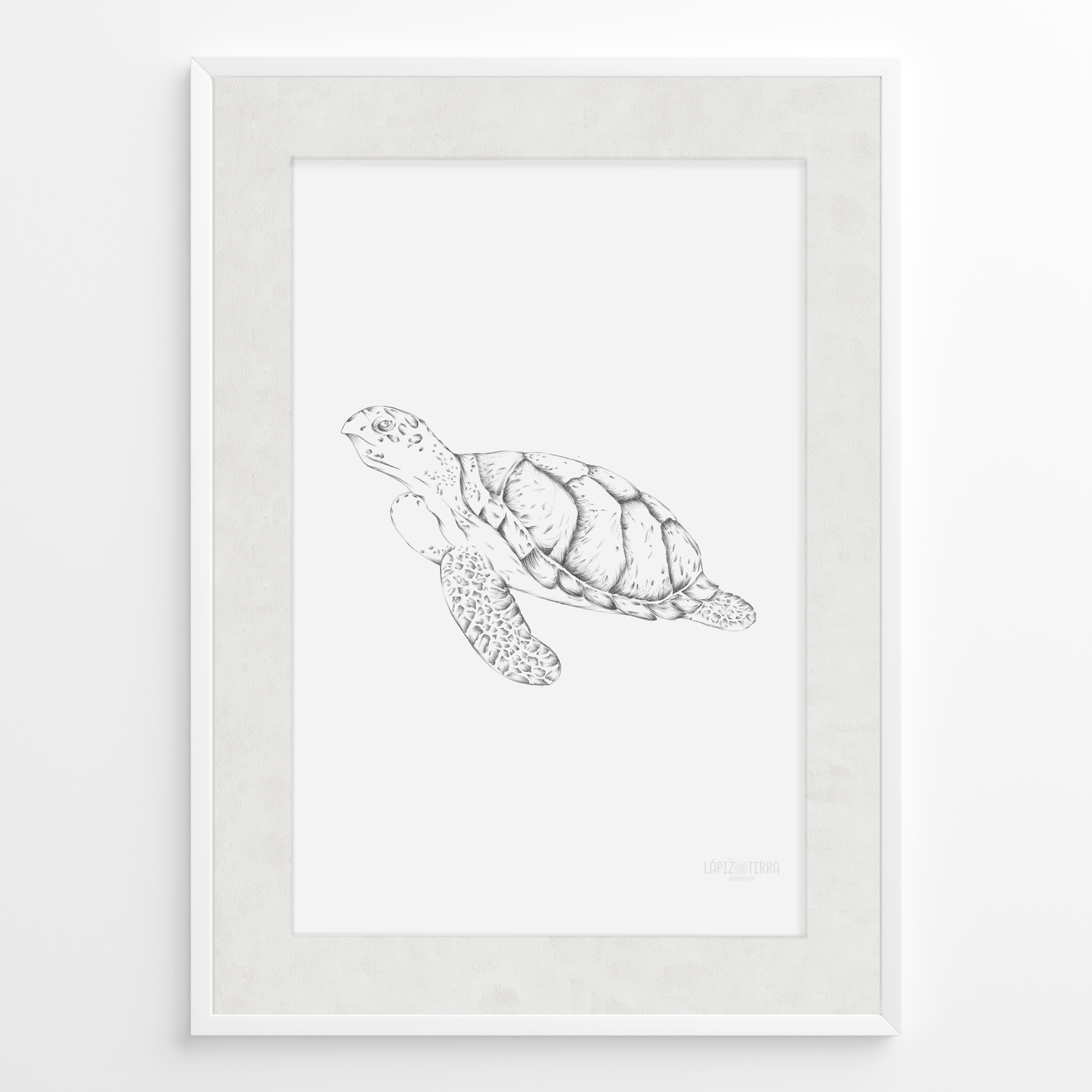 Tortuga B&N
