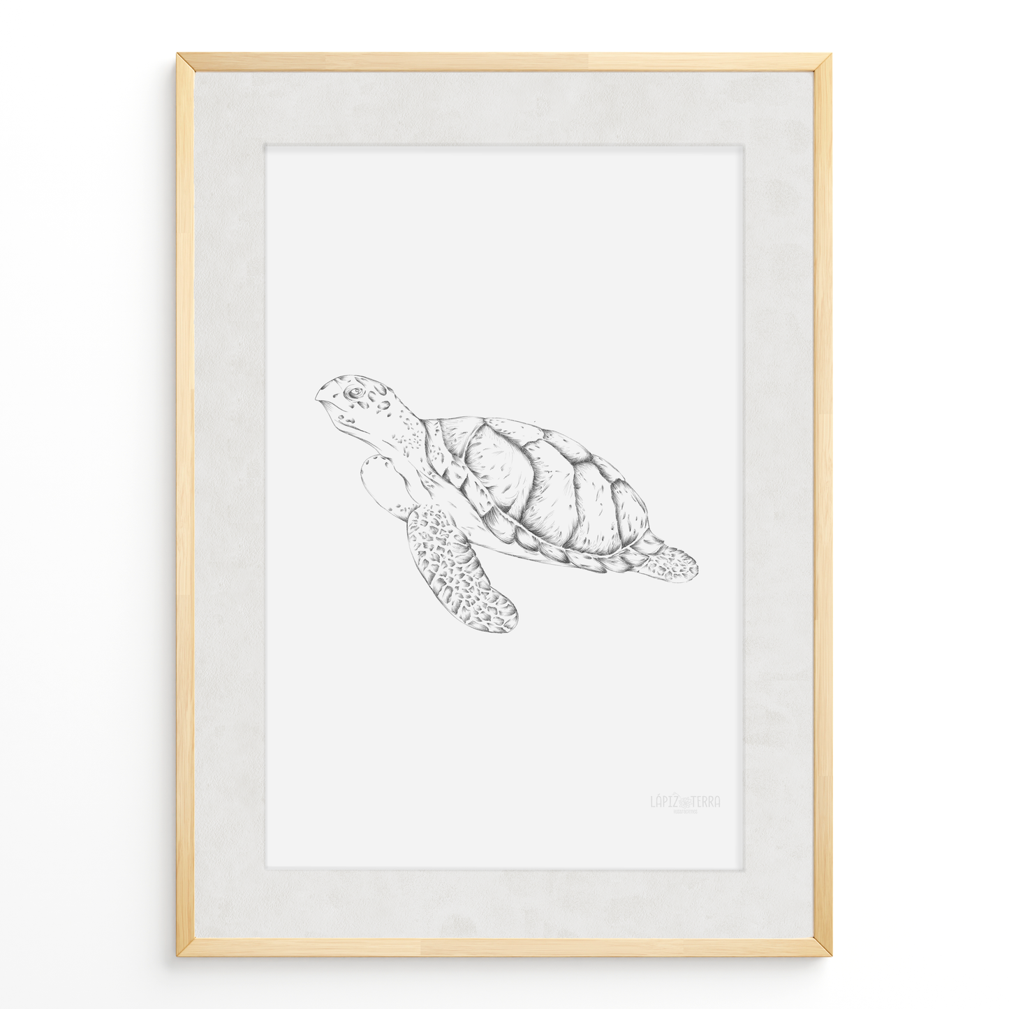 Tortuga B&N