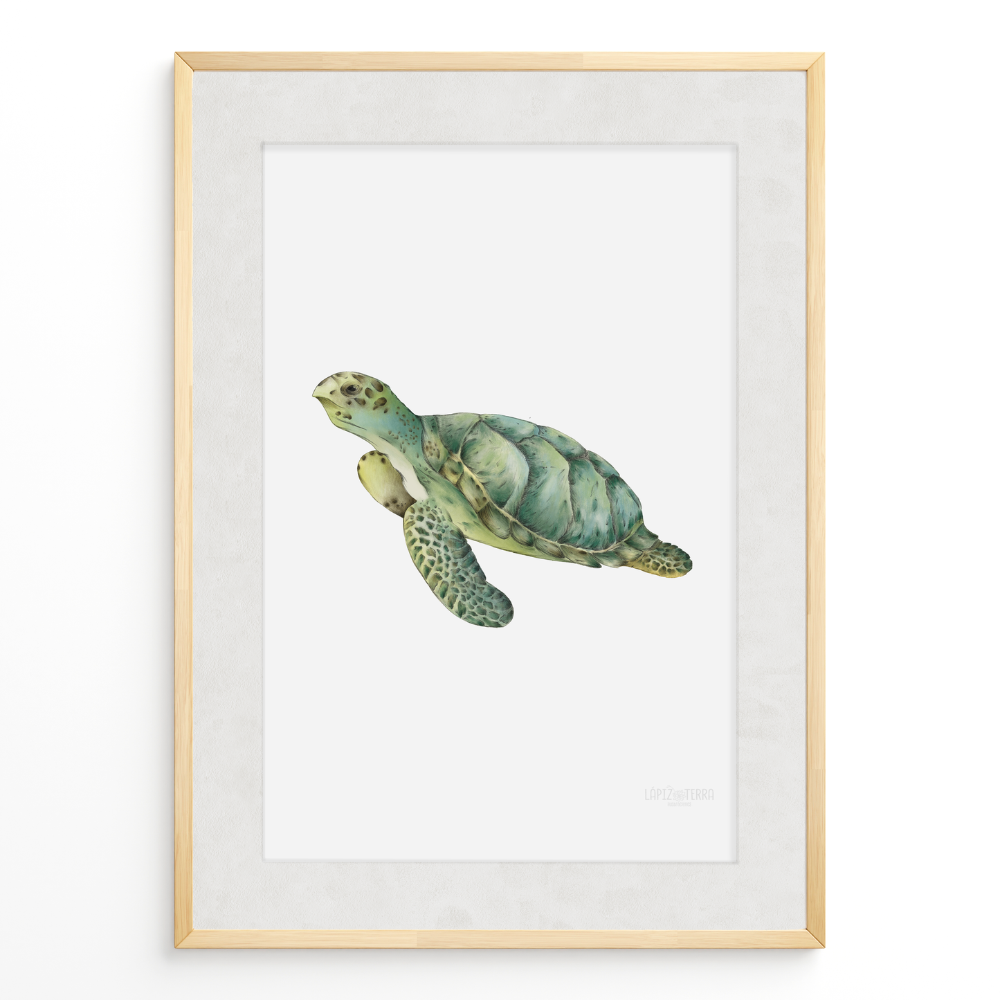 Tortuga