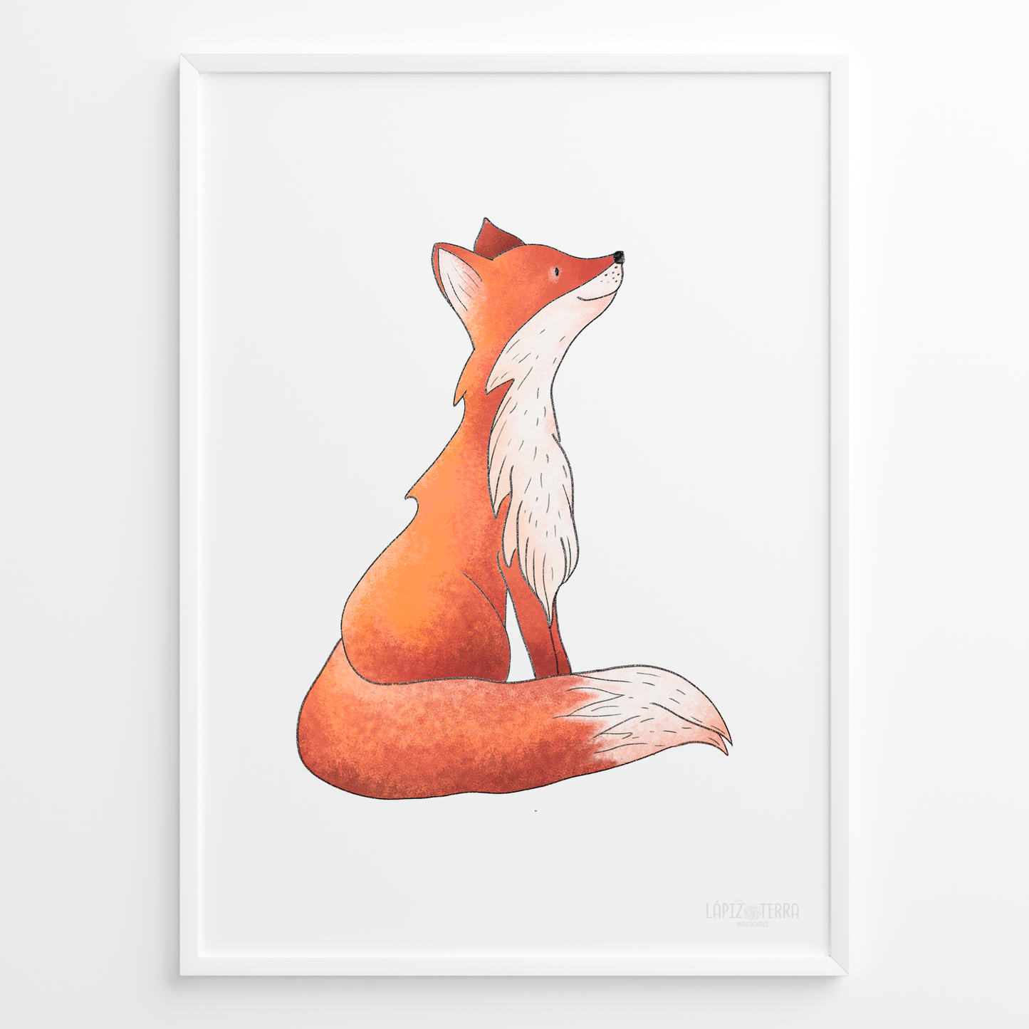 Zorrito