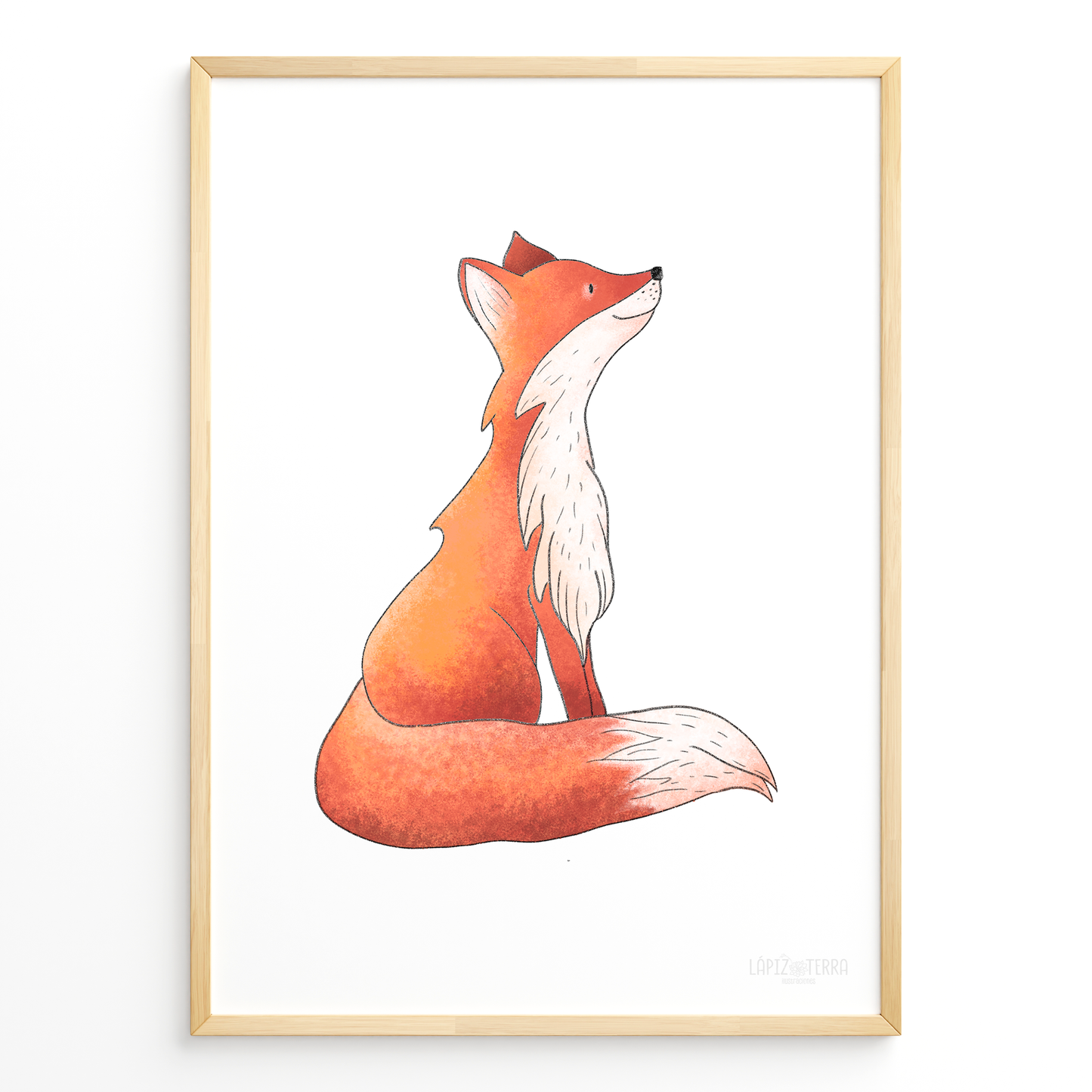 Zorrito