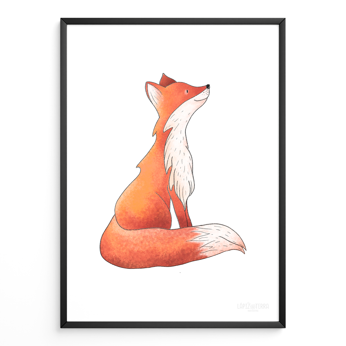 Zorrito