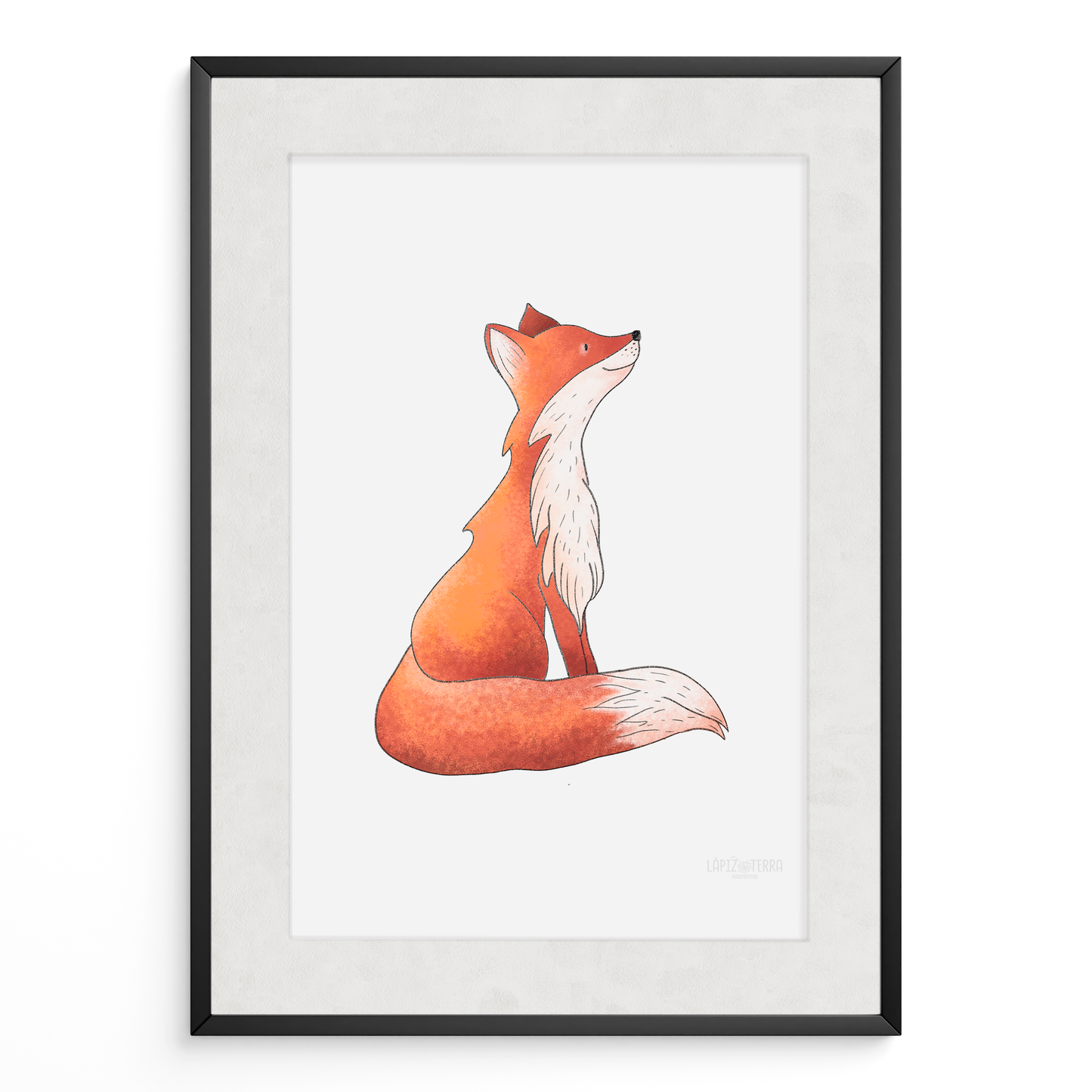 Zorrito