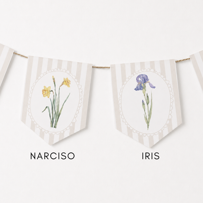 Banderines Flora