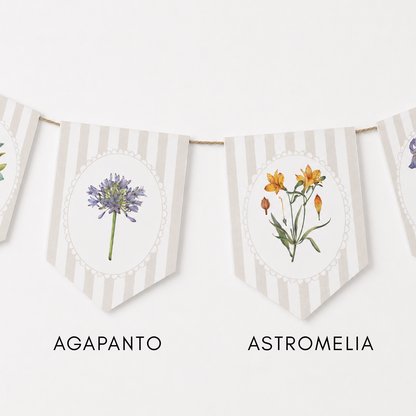 Banderines Flora