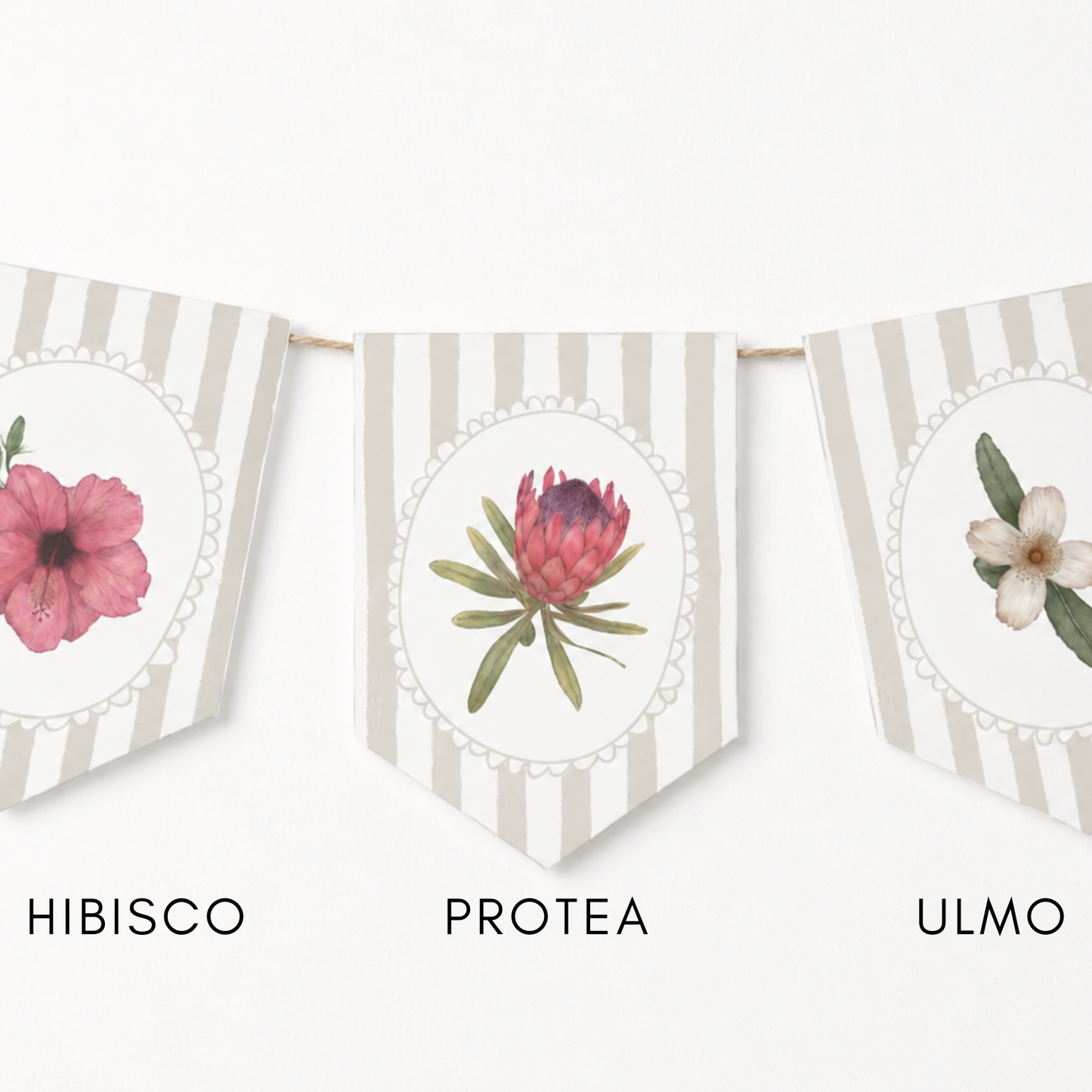 Banderines Flora