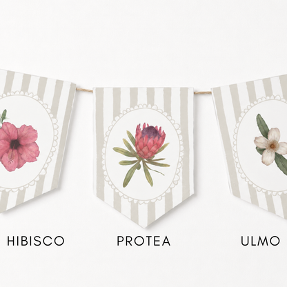 Banderines Flora