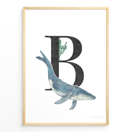 Letra & Ballena