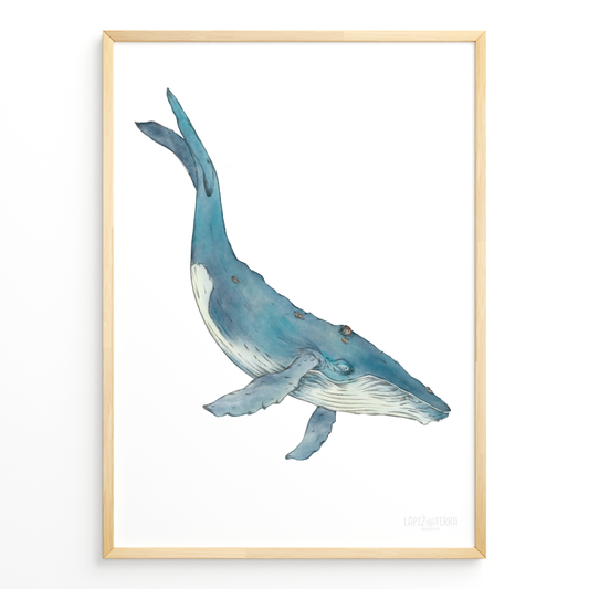 Ballena