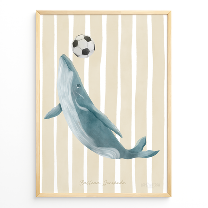 Ballena Jorobada