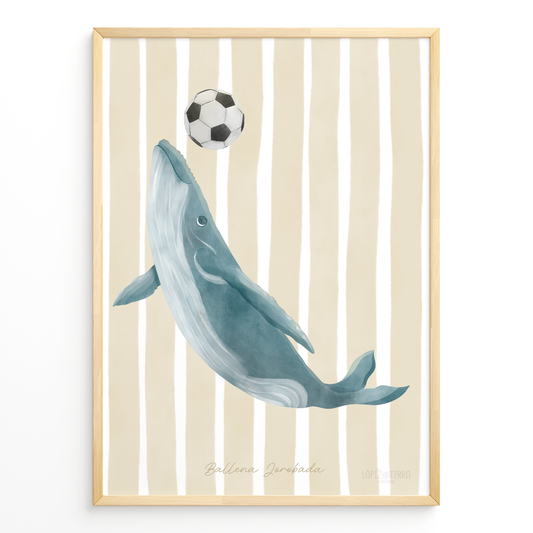 Ballena Jorobada