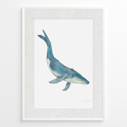 Ballena