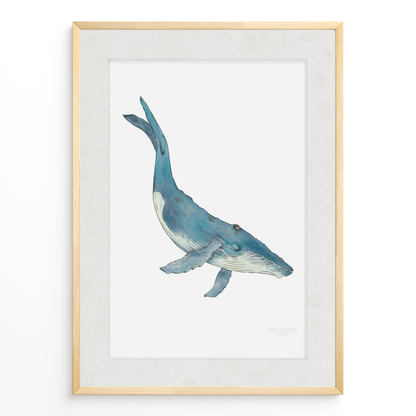 Ballena
