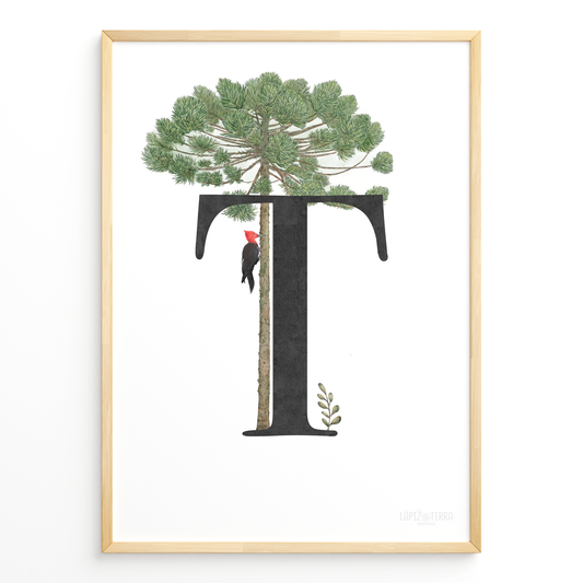 Letra & Araucaria
