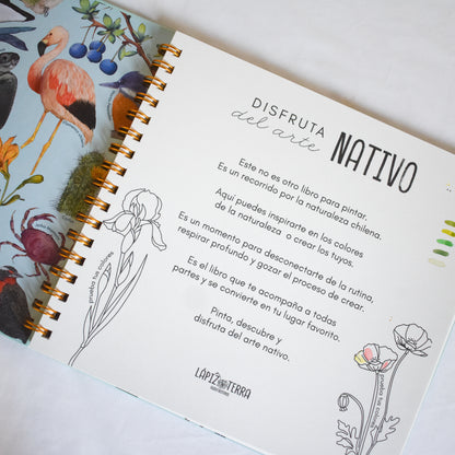 Coloring Book Nativo