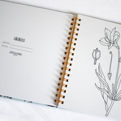 Coloring Book Nativo