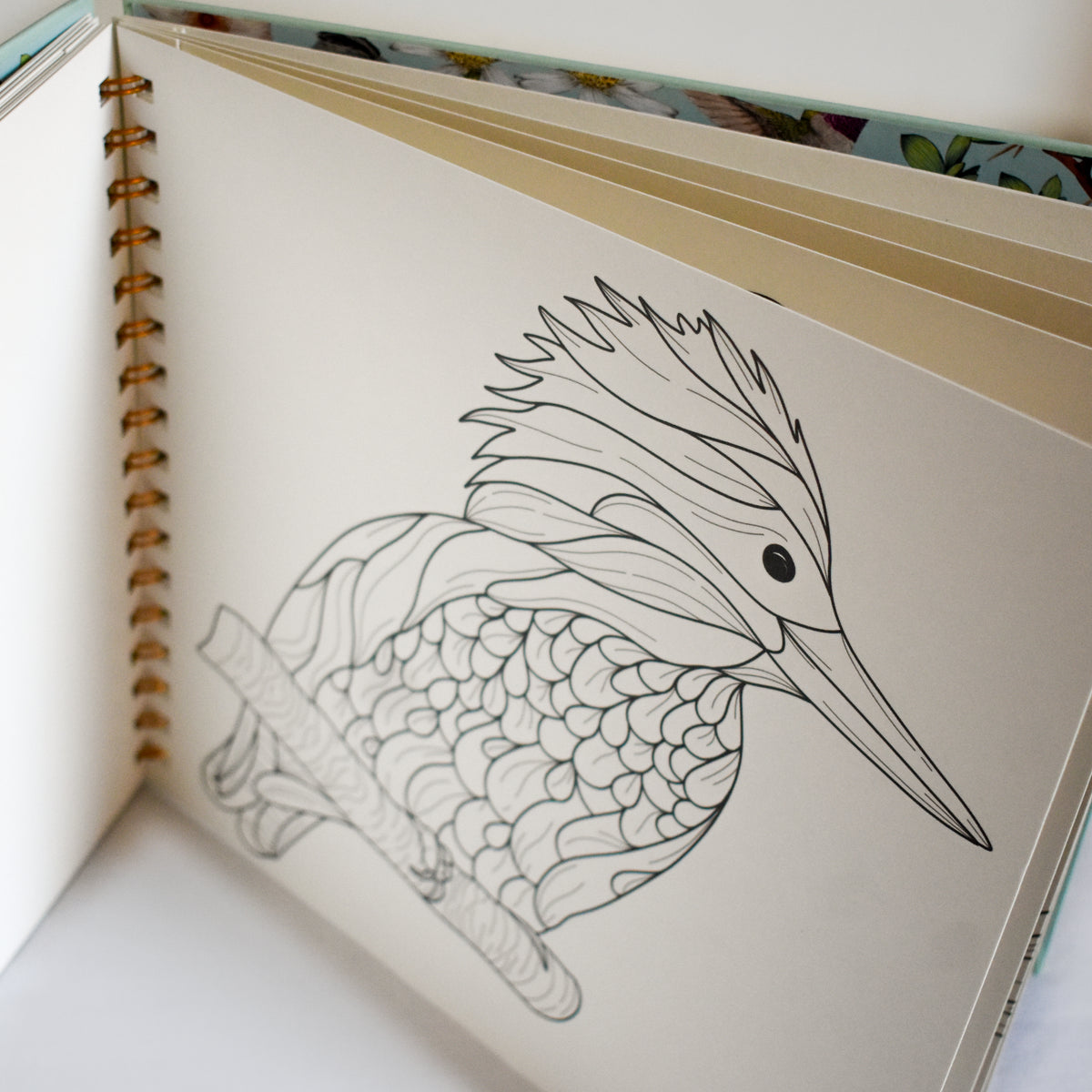 Coloring Book Nativo