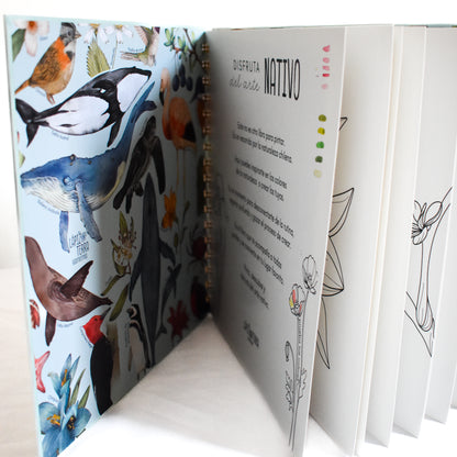 Coloring Book Nativo