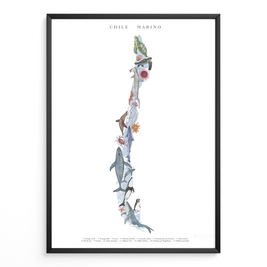 Chile Marino Vertical