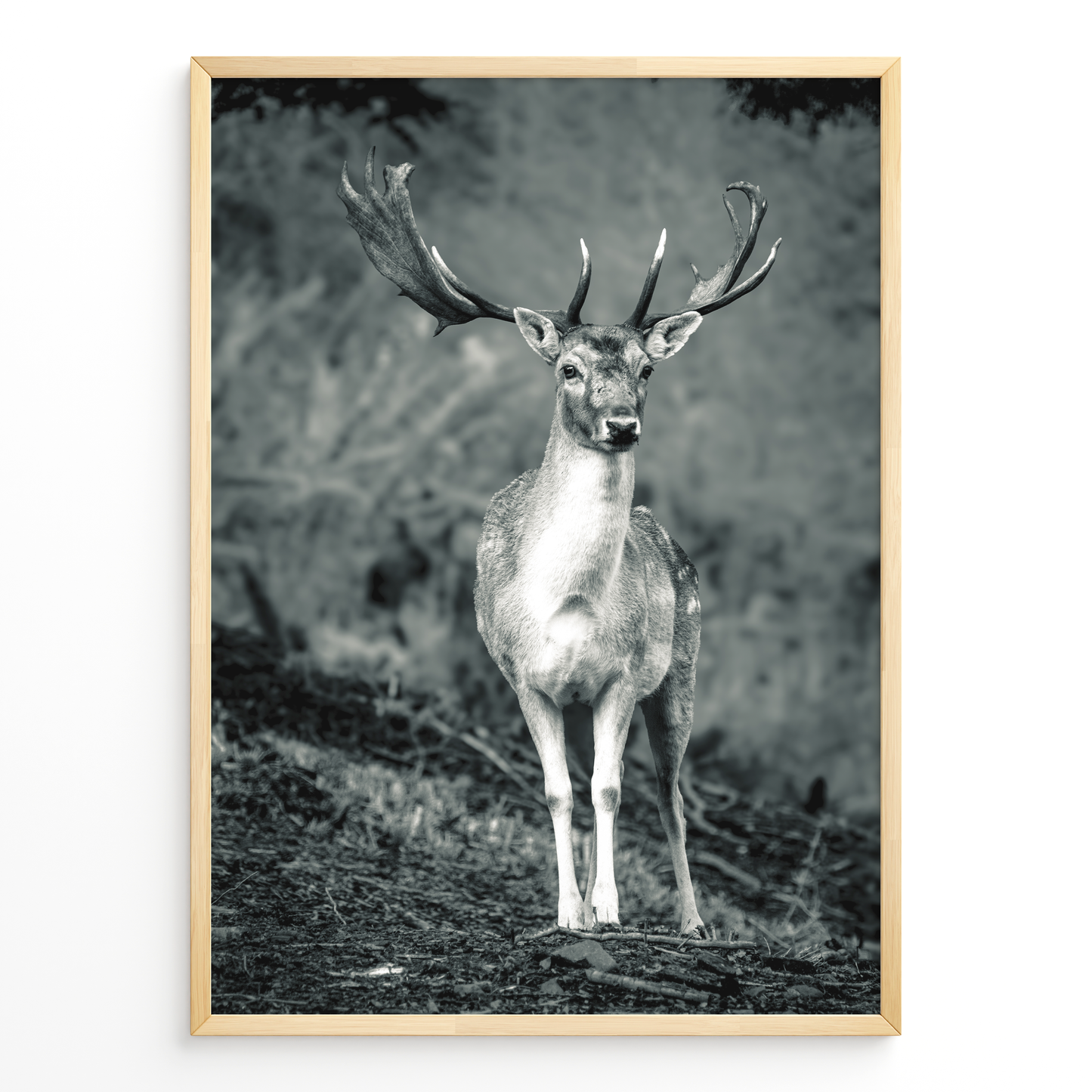Ciervo guardián del bosque B&N