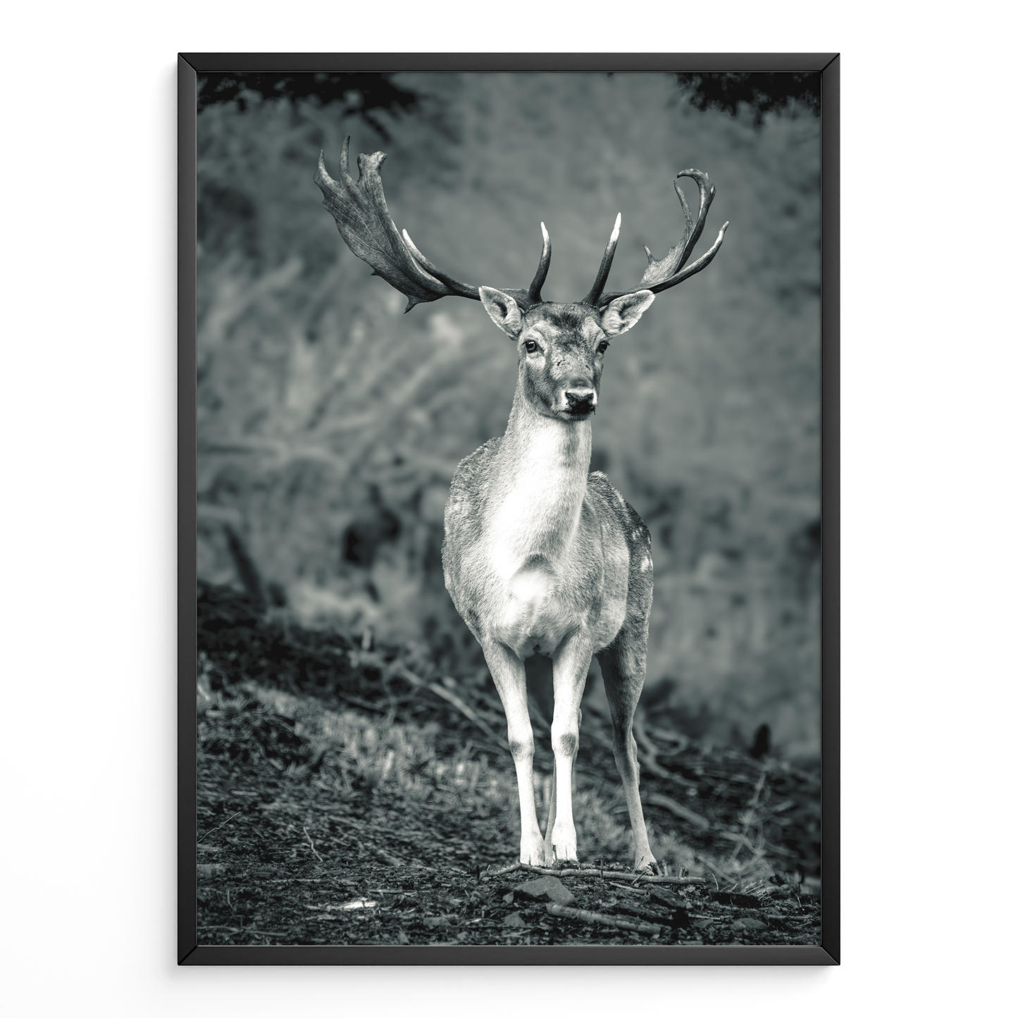 Ciervo guardián del bosque B&N