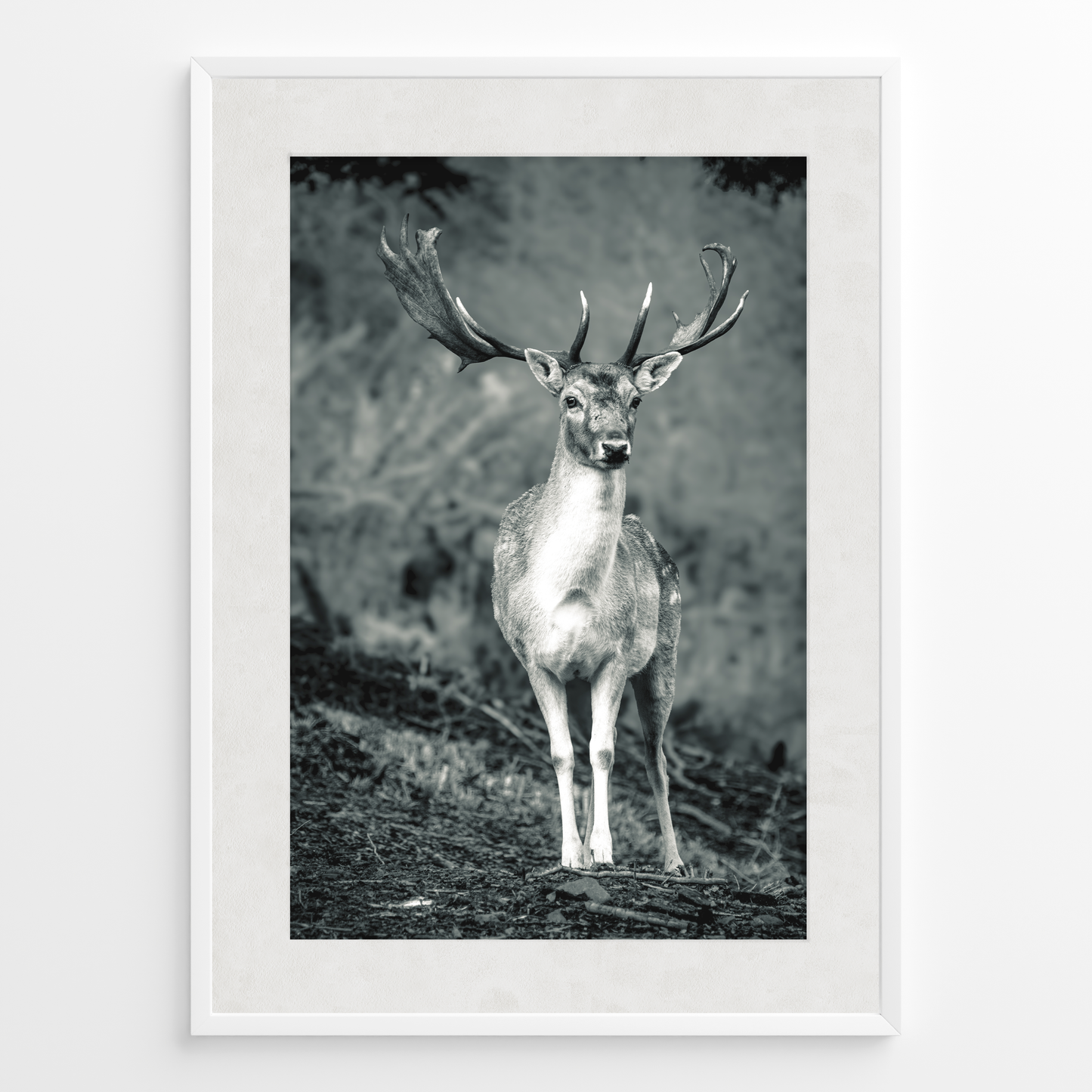 Ciervo guardián del bosque B&N