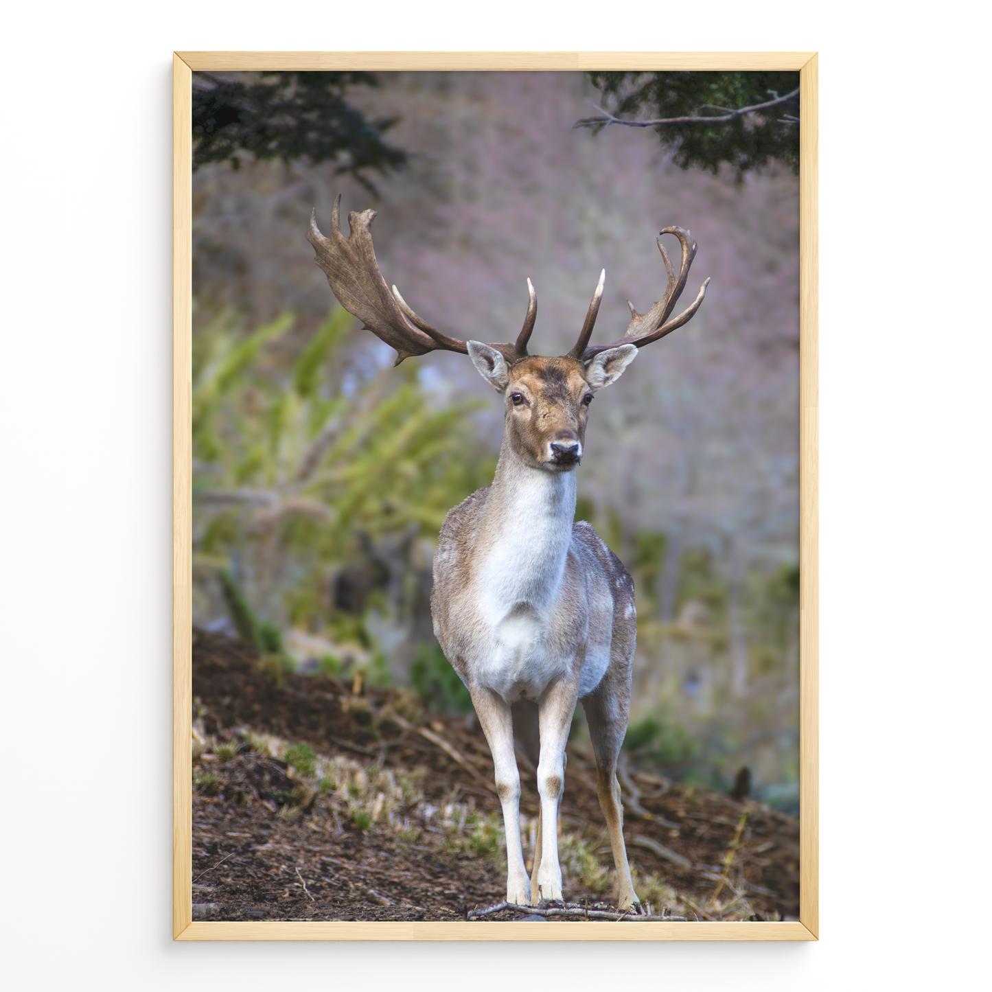 Ciervo guardián del bosque