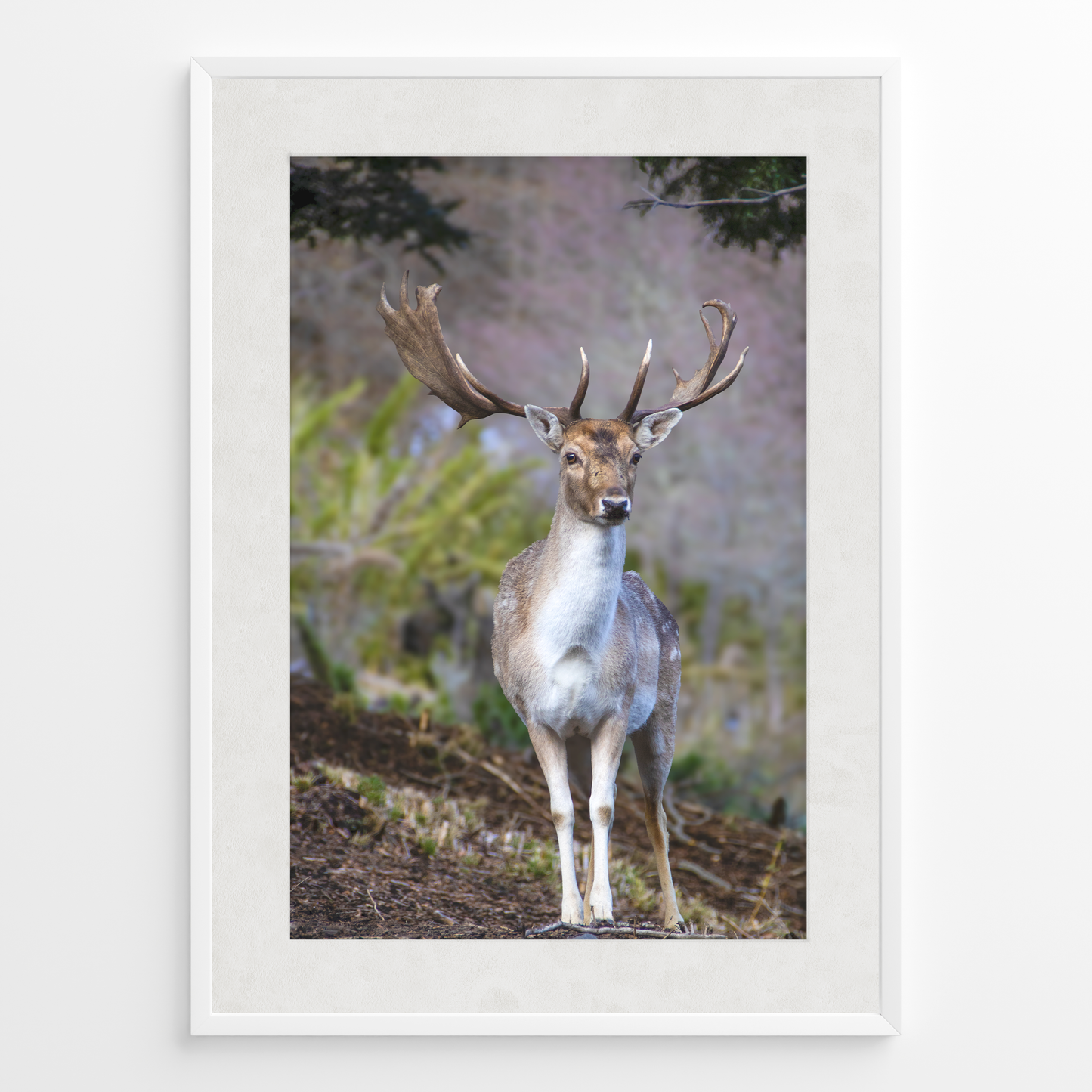 Ciervo guardián del bosque