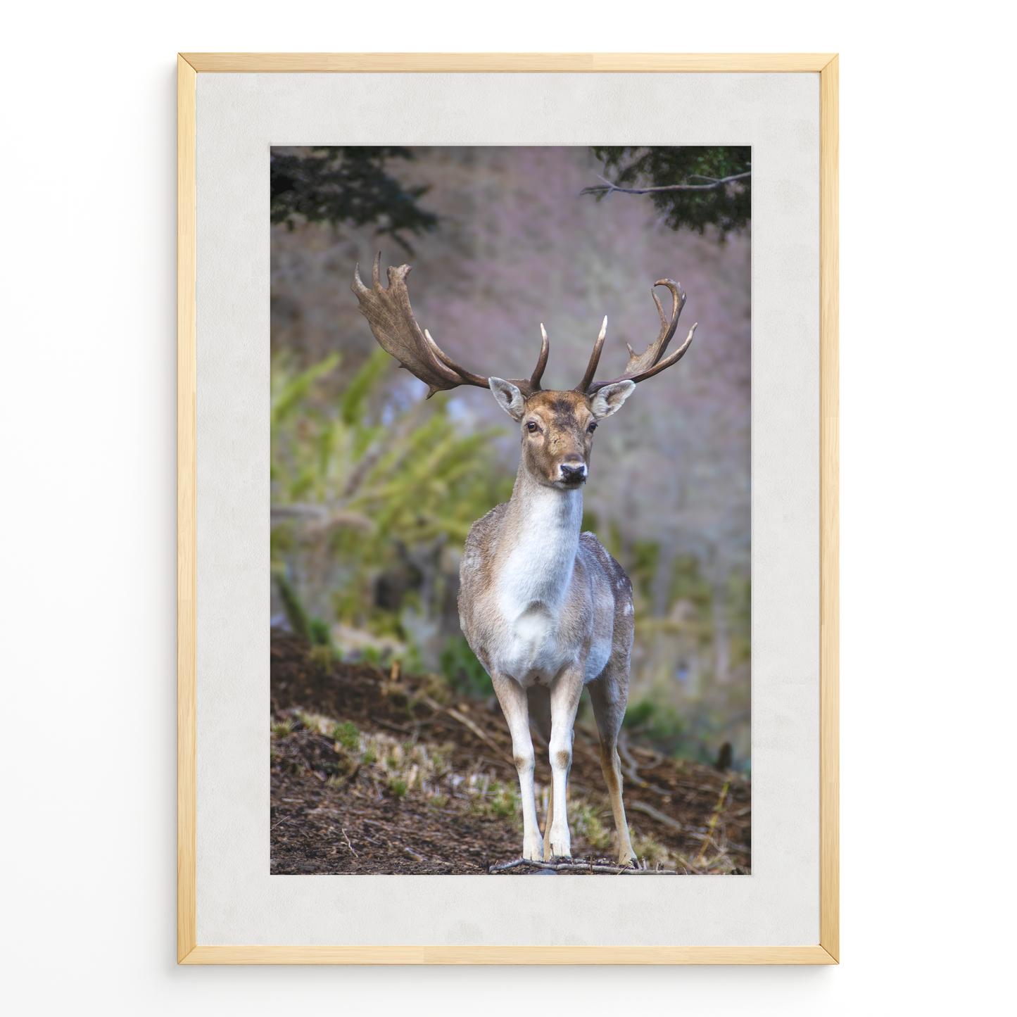 Ciervo guardián del bosque