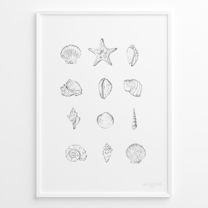 Conchitas B&N