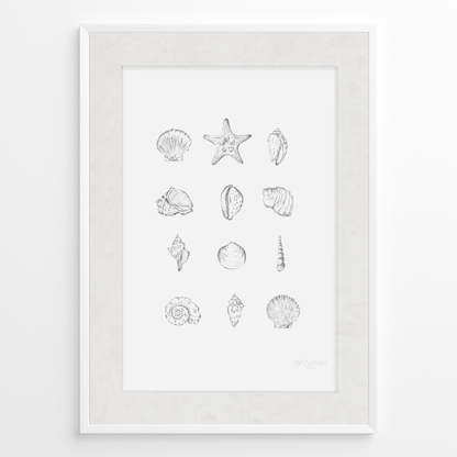Conchitas B&N