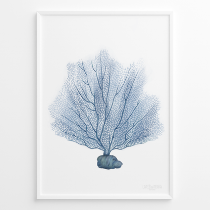 Coral