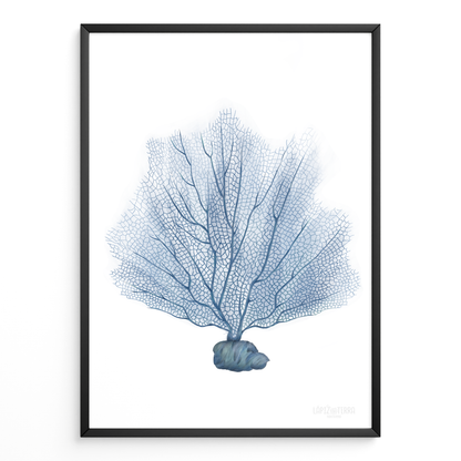 Coral
