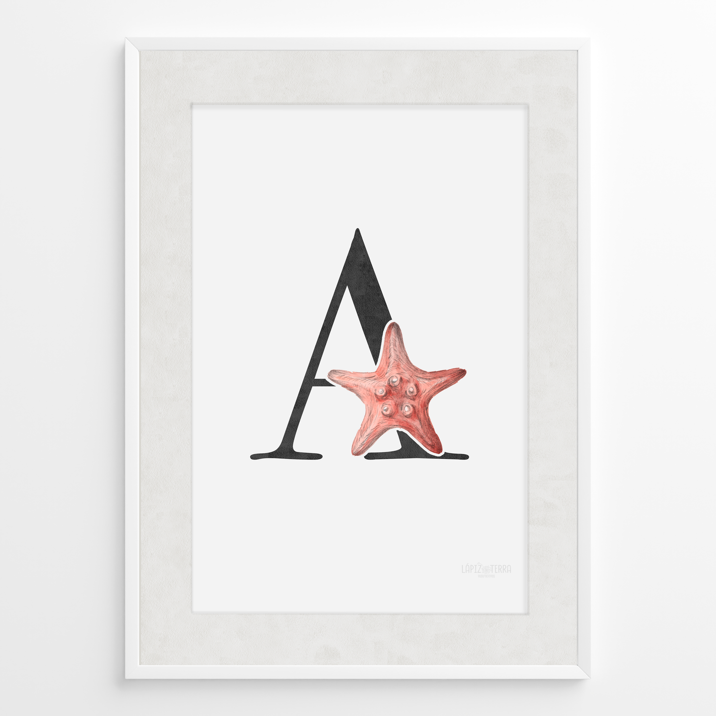 Letra & Estrella de Mar