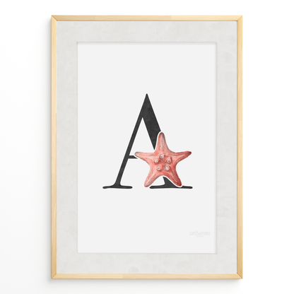 Letra & Estrella de Mar