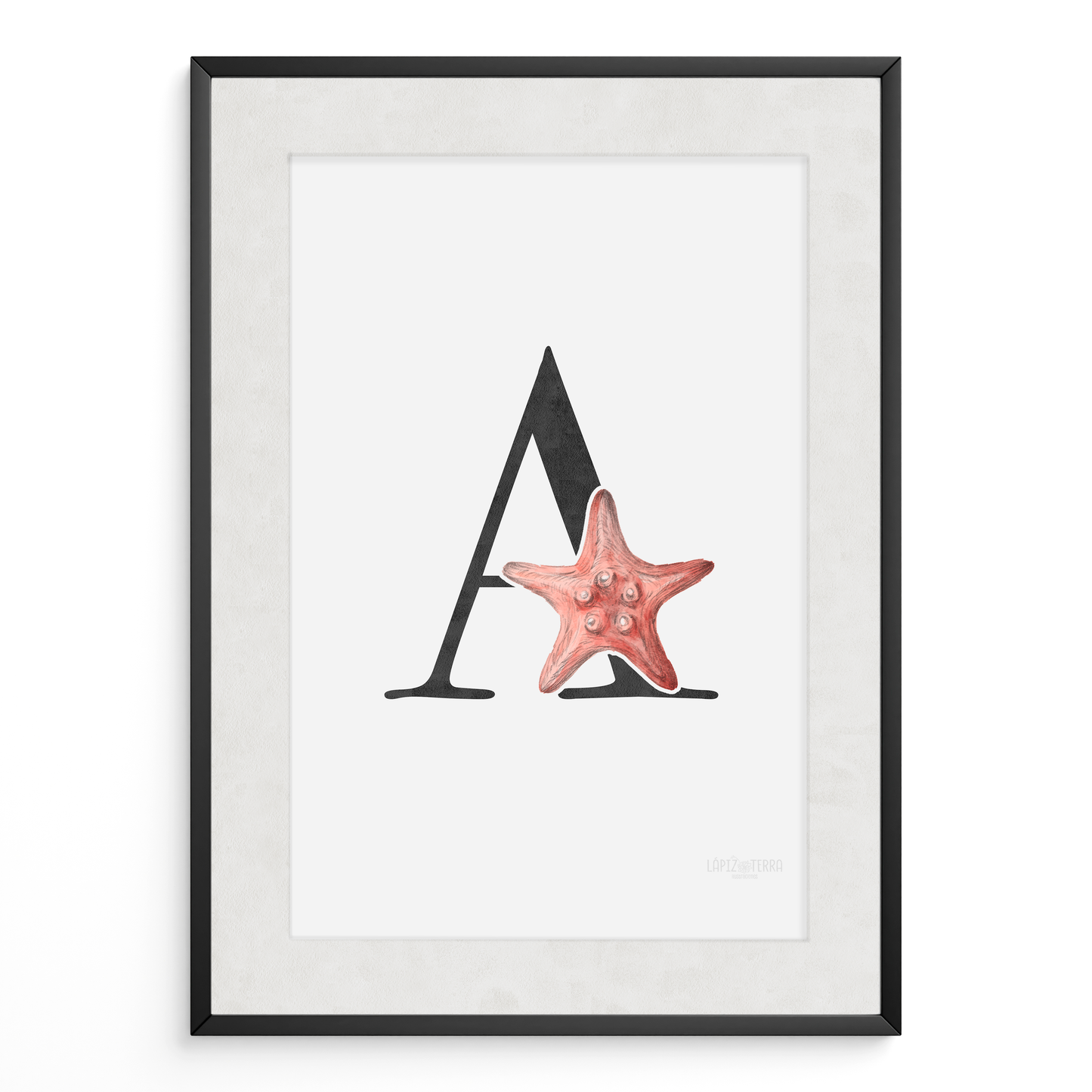 Letra & Estrella de Mar