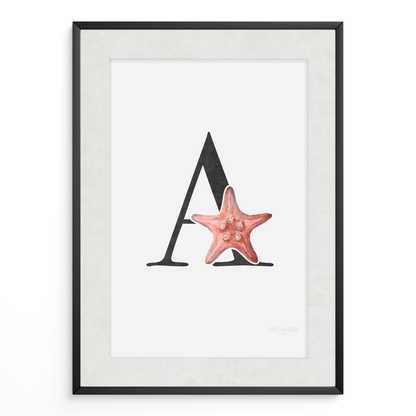 Letra & Estrella de Mar