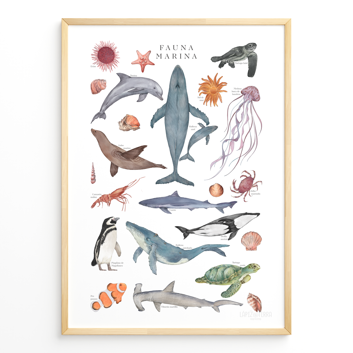 Fauna Marina