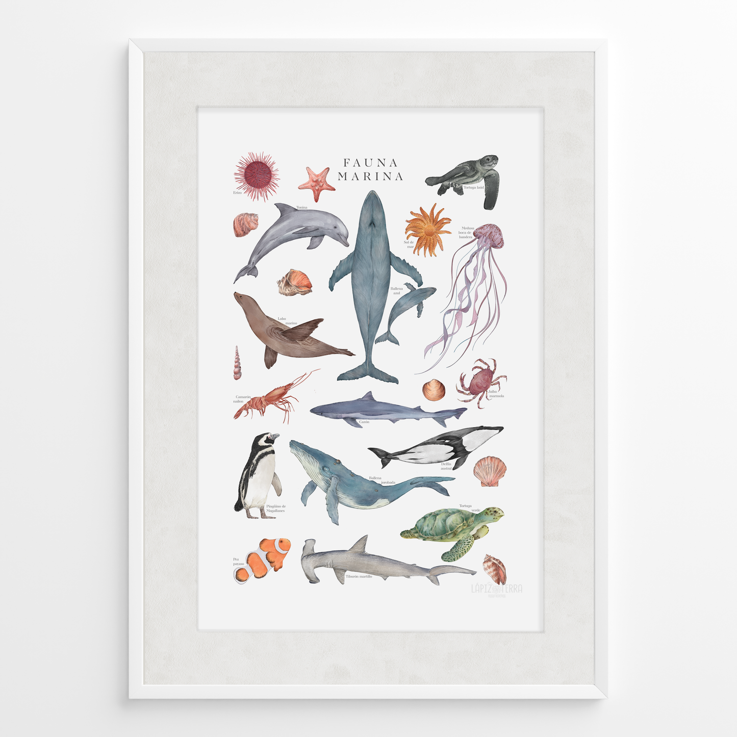 Fauna Marina