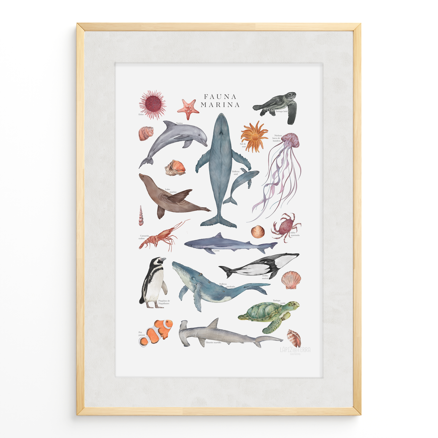 Fauna Marina