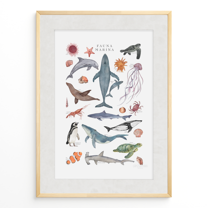 Fauna Marina