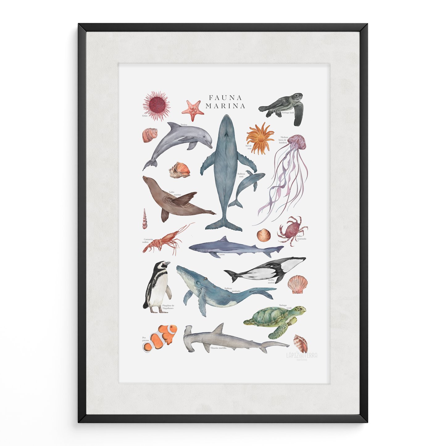 Fauna Marina